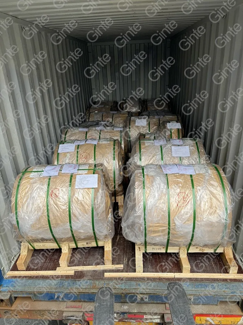 The Belt and Road The Belt and Road